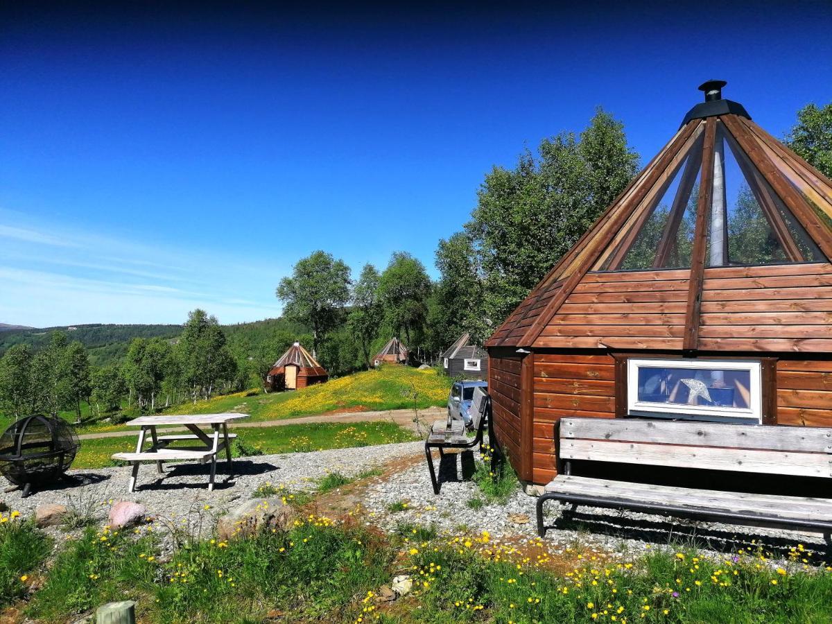 Hessdalen Ufocamp Homestay Varhus