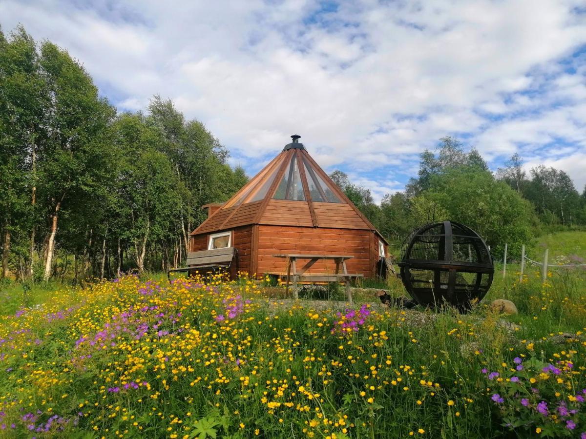Hessdalen Ufocamp *