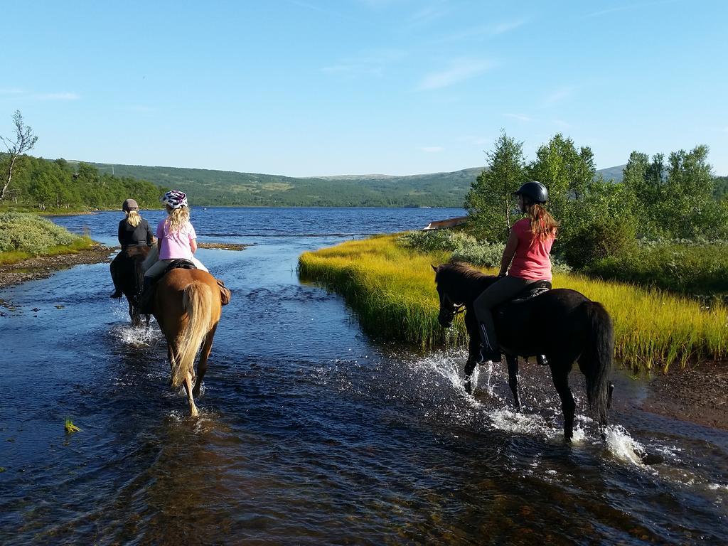 Alloggio in famiglia Hessdalen Ufocamp