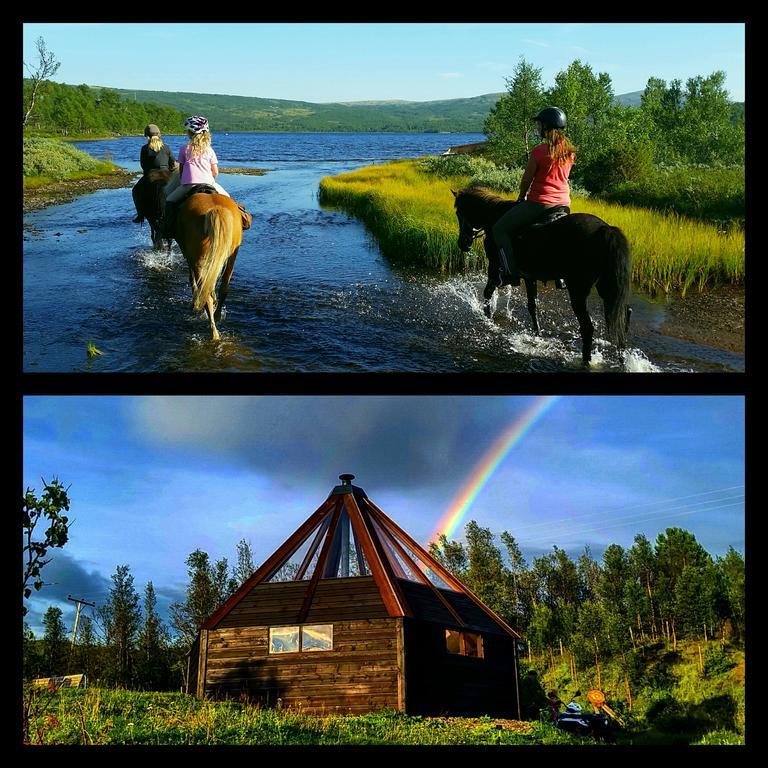 Hessdalen Ufocamp Homestay *